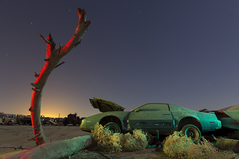 Under the Wishing Tree  :::::  1980s Pontiac Firebird